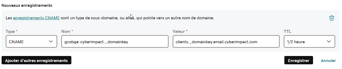 copier les informations sur le nom et la valeur de l'enregistrement du CNAME