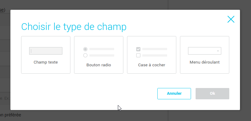 choisir-le-format-de-champ-texte